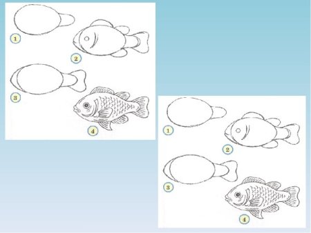 Схема рисования рыбы для детей