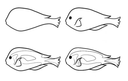 Поэтапное рисование ерша