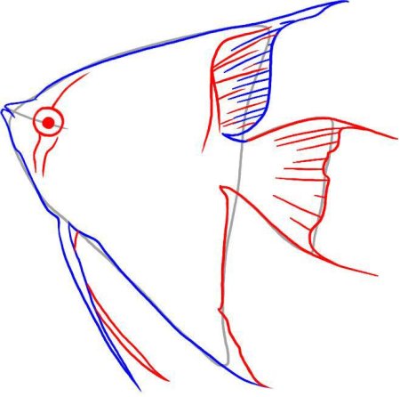 Скалярия для срисовки