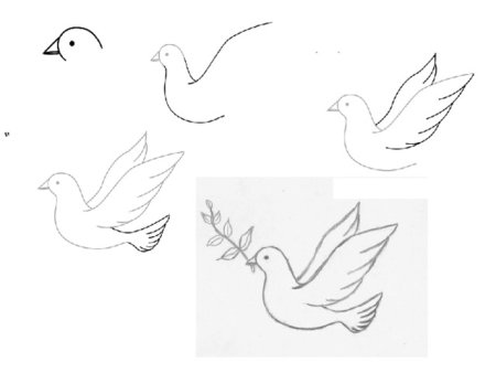 Поэтапное рисование голубя мира
