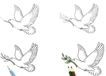 Голубь рисунок для детей поэтапно