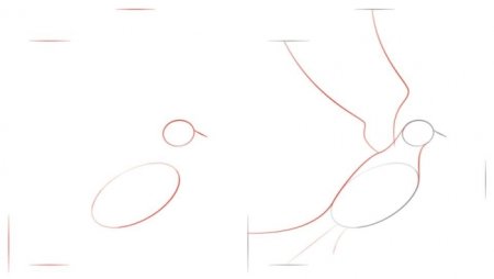 Голубь мира с веткой