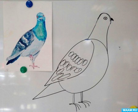 Как нарисовать голубя мира поэтапно