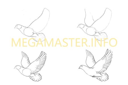 Рисование птицы пошагово