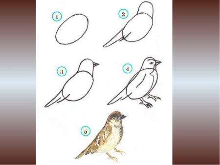Поэтапное рисование птиц