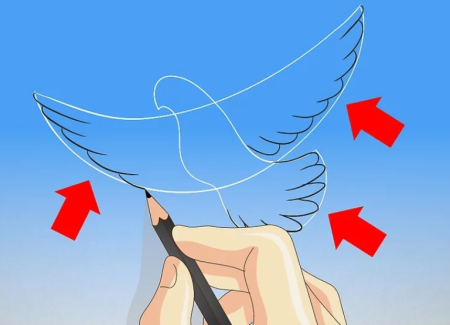 Голубь поэтапное рисование для детей