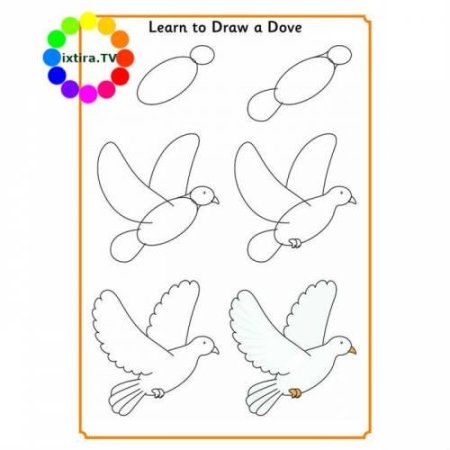 Голубь мира рисунок карандашом поэтапно