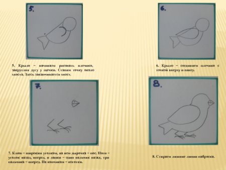 Поэтапное рисование воробья