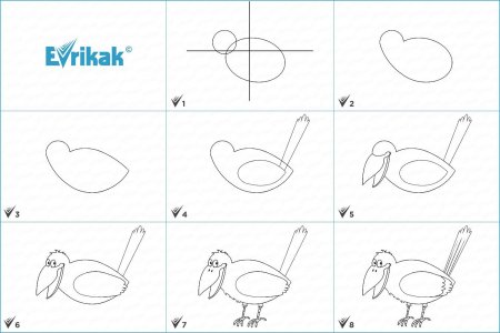 Поэтапное рисование птиц