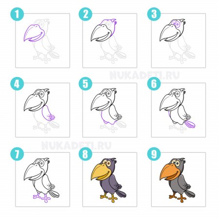 Поэтапное рисование птицы синицы