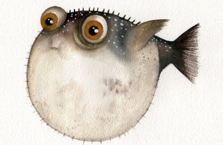 Рыба фугу рисовать