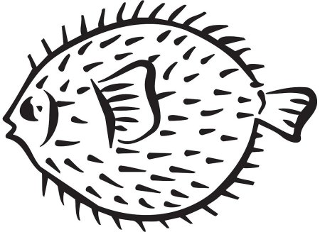 Поэтапное рисование щуки