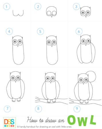 Пошаговое рисование Совы