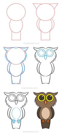 Поэтапное рисование Совы