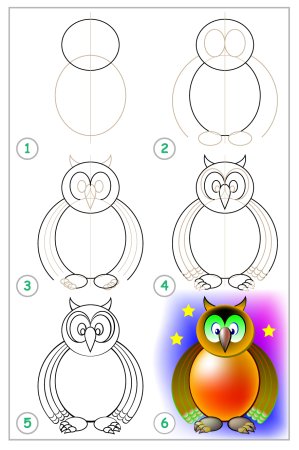 Схема рисования Совы