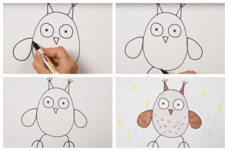 Как нарисовать сову