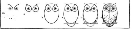 Шаблон Совы для средней группы по рисованию