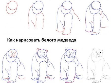 Поэтапное рисование медведя