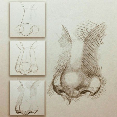 Поэтапное построение носа