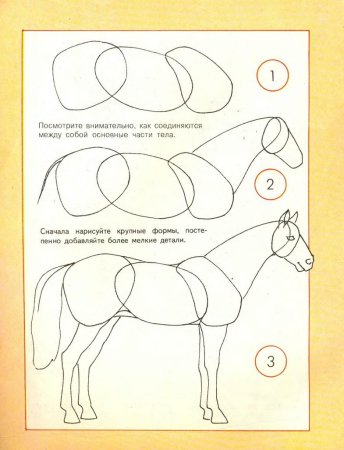 Рисование лошади по этапно