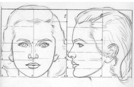 Портрет (конструкция головы человека. Анфас, профиль)