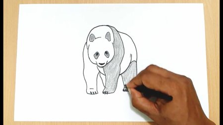 Мультяшная Панда с бамбуком
