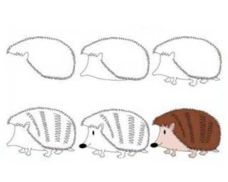 Ежик поэтапное рисование для детей