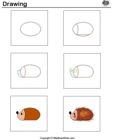 Ежик поэтапное рисование для детей