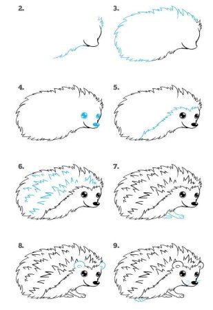 Схема рисования ежика для детей