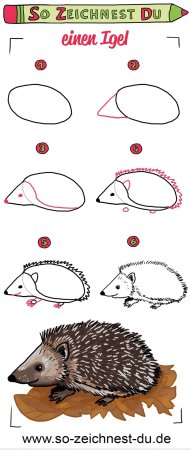 Как нарисовать ежика