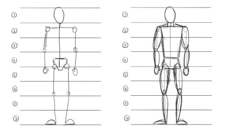 Пропорции тела человека рисунок