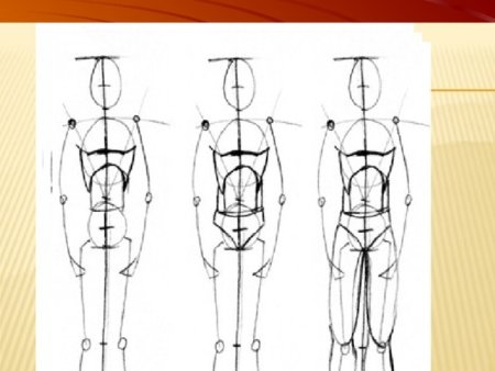 Этапы рисования фигуры человека