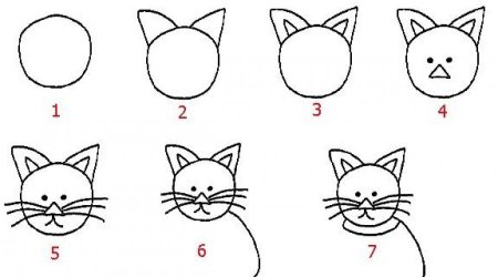 Схема рисования кота для детей