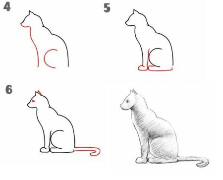 Кот сидит вид сбоку