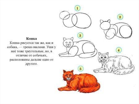 Рисование животных 3 класс