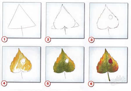 Рисование в подг гр ветка рябины