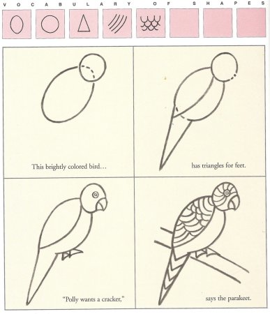 Рисование попугай средняя группа