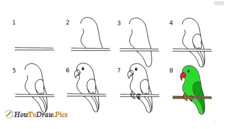 Рисунок для детей попугай поэтапно (50 фото)