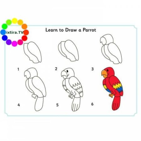 Поэтапное рисование попугая для детей