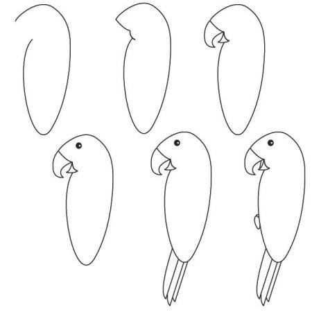 Пошаговое рисование попугая