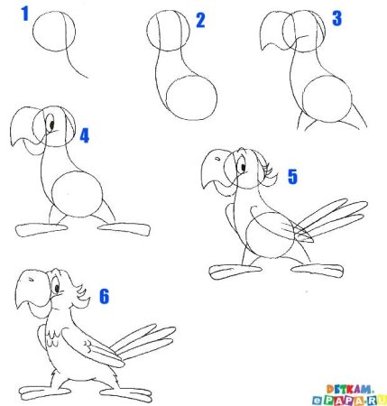 Рисование попугаев пошагово