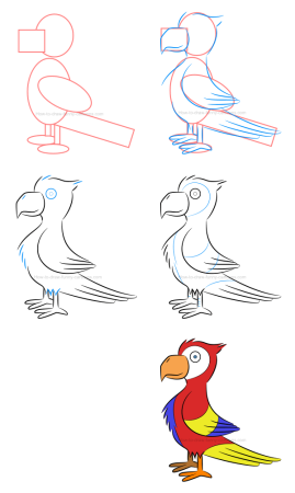 Программу как нарисовать попугая