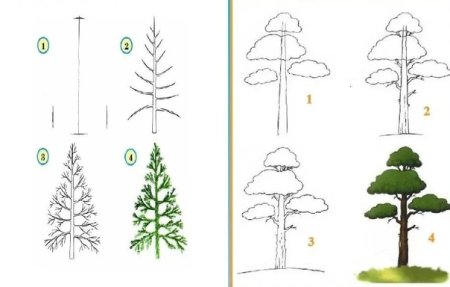 Поэтапное рисование ствола дерева