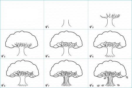 Поэтапное рисование дерева