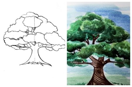 Дуб рисунок карандашом для детей