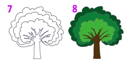 Сосна рисунок карандашом