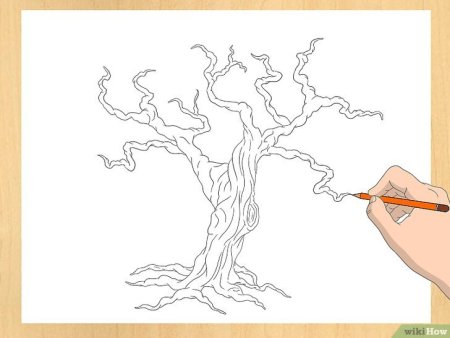 Берёза поэтапное рисование