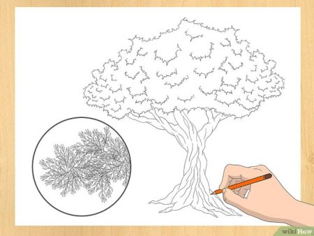 Методика рисования дерева