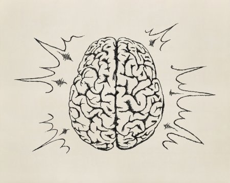 Человеческий мозг эскиз