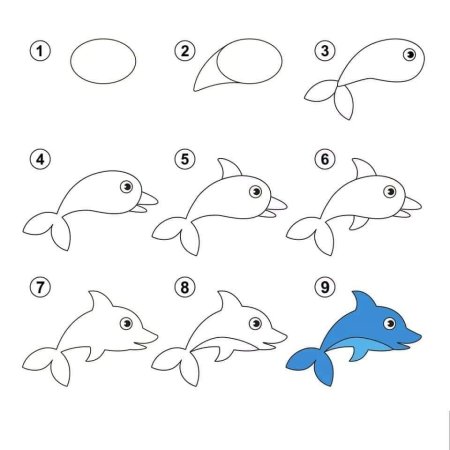 Поэтапное рисование морских животных